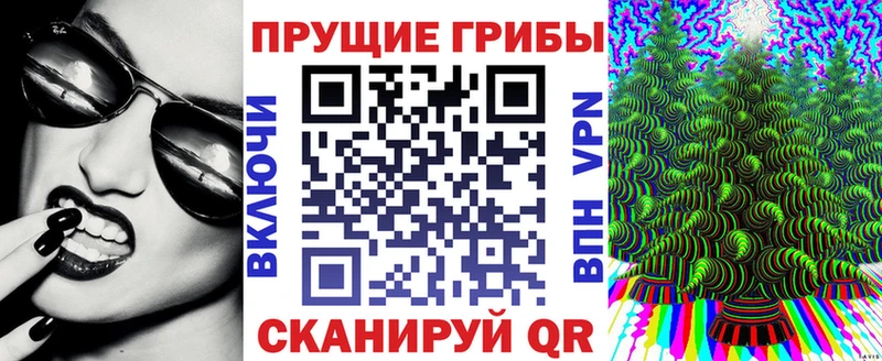 Псилоцибиновые грибы Psilocybine cubensis  Велиж 